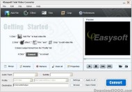 4Easysoft YouTube to AVI Converter screenshot